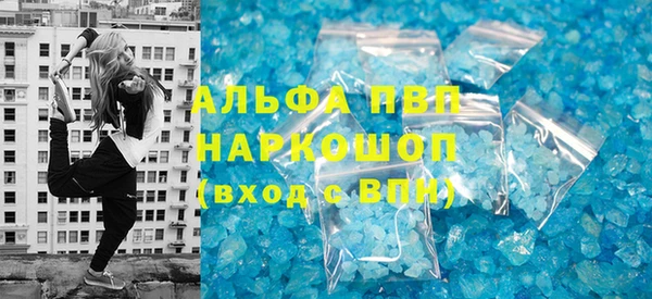 гашик Осинники