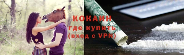 гашик Осинники