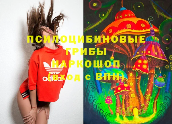 гашик Осинники