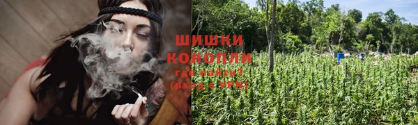 гашик Осинники