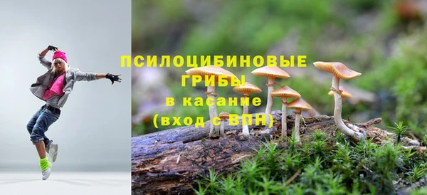 а пвп мука Пестово